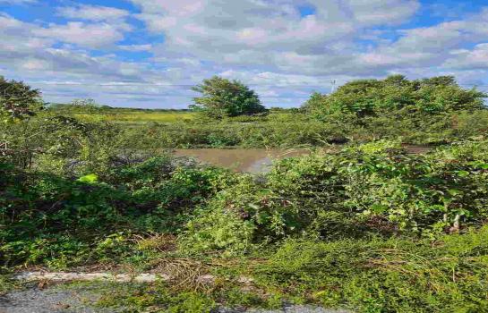 ���Թ������ ���ͧ��ù�¡��ù�¡