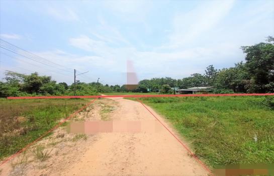 ���ʧ��� �� compos2566