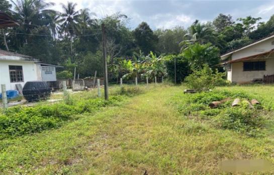 ��ҹʧ��� �� panaya.opalopal