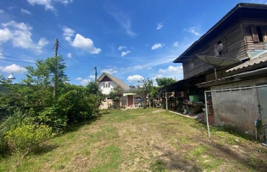 ���ʧ��� �� compos2566