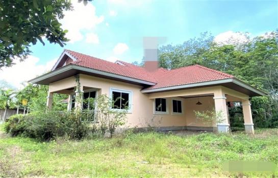 ��ҹʧ��� �� panaya.opalopal