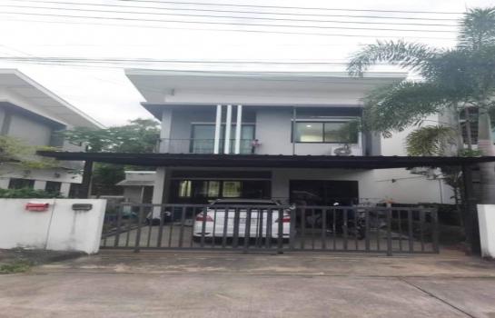 �ҧ�� �� northern1