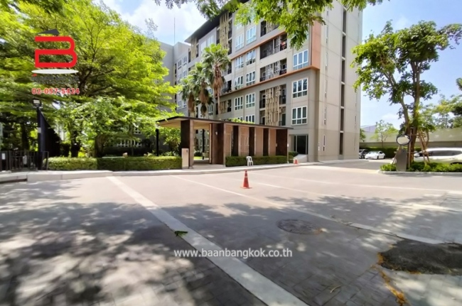 ��¤͹� ����ͧ��ا෾