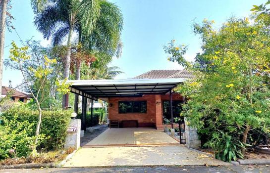 �Ң�ѭ �Ź�����