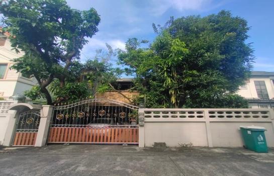 �ǹ��ǧ �� �����ԡ�