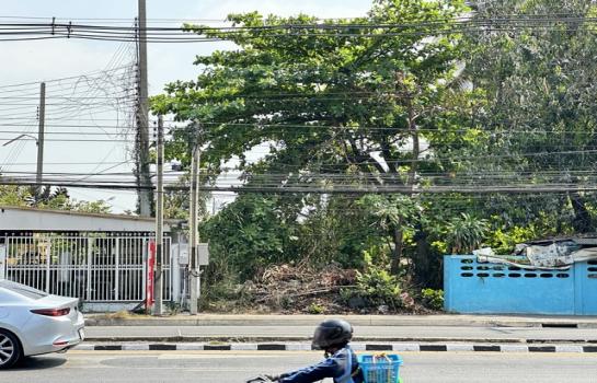 ��ط��Ҥ� �� sopa