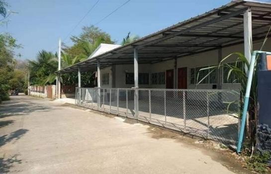 �ҧ�� �� northern1