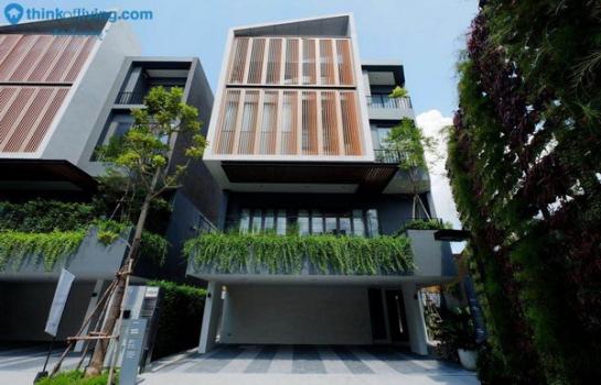 ���⢹� �� Nuttapong