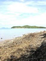 ��·��Թ �Ҥһ�С�Ȣ�� 8,000,000 �ҷ