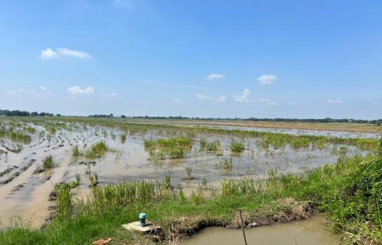 ���Թž���� �� Estate Corner