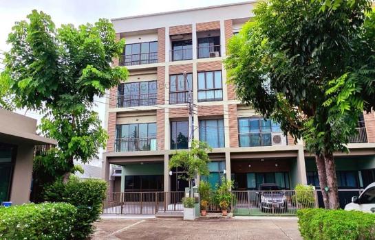 ��ا෾ �� AssetD4U