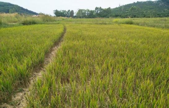 ��§��� �� room168sub