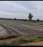 ��·��Թ �Ҥһ�С�Ȣ�� 85,000 �ҷ