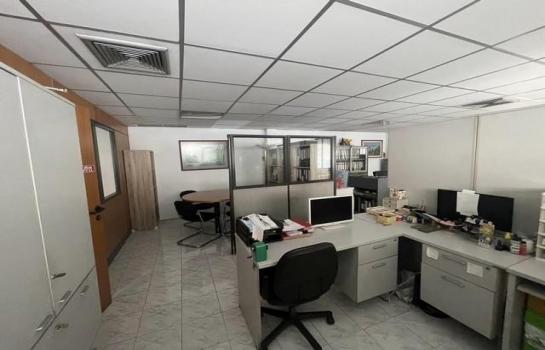 ���� �� ��ͼ��