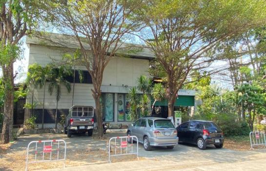 �ѧ�ͧ��ҧ �� PL BUA