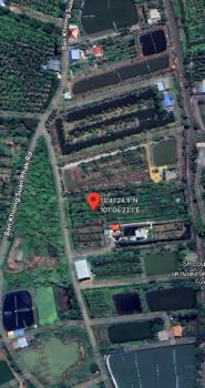 ���ԧ��� �� Jyn Property