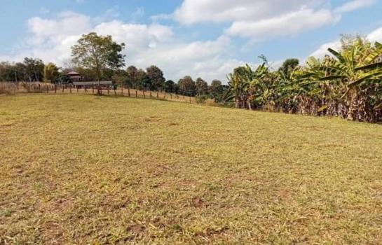 ���ᵧ �� onanong khumaphao