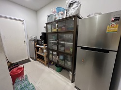 ��º�ҹ �ҧ���