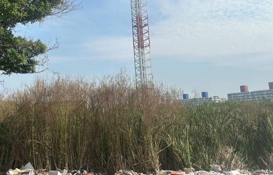 ที่ดินให้เช่า1,000-8,000บาท นนทบุรี