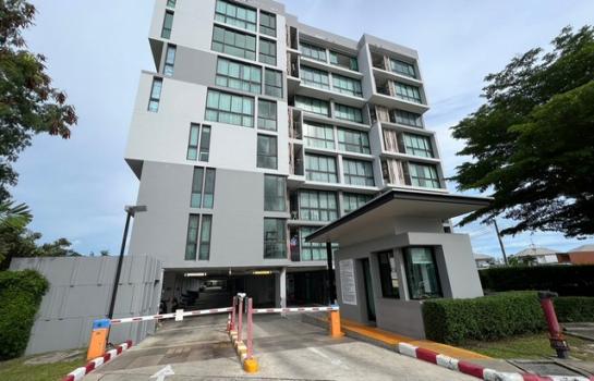 ���� �� panaya.opalopal