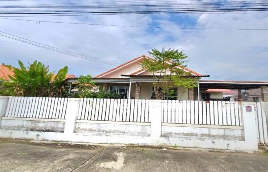 �Ң�ѭ �Ź�����