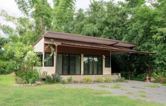 ��ҹ�ѹ��ҵͧ ��§����