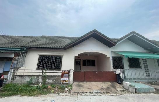 �ź��� �� panaya.opalopal