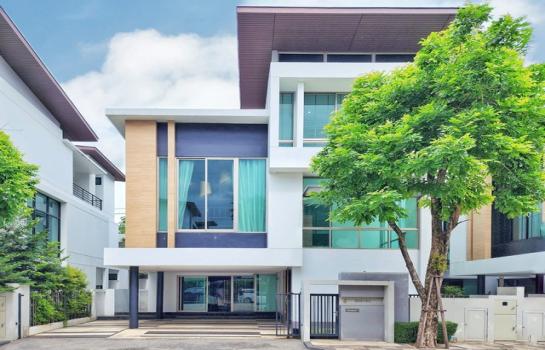 ��º֧���� �� Exclusive