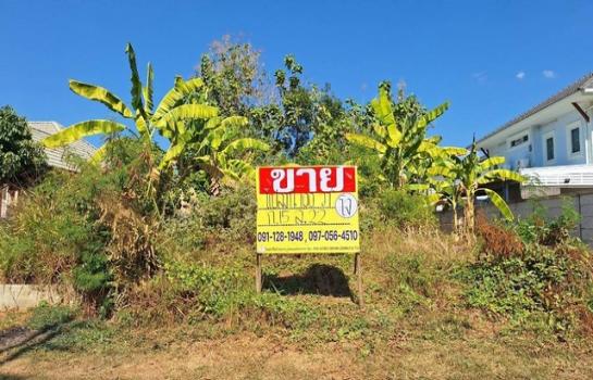 �͹�� �� zionasset1