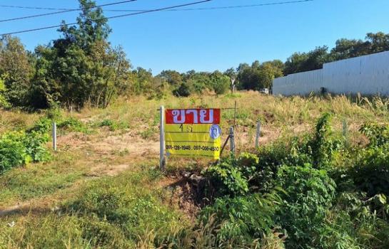 �͹�� �� zionasset1