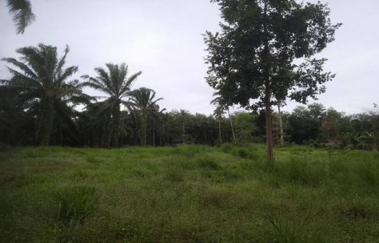 ��ª���� �� zionasset1