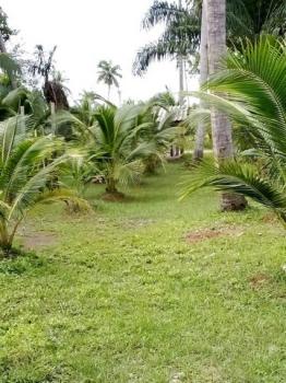 ��ª���� �� zionasset1