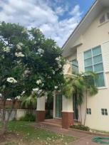 ��ҹ �ҧ��