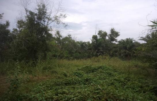 ��ª���� �� zionasset1