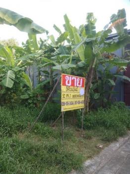 ��ª���� �� zionasset1