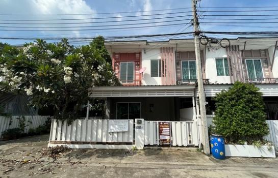 ������ �� panaya.opalopal