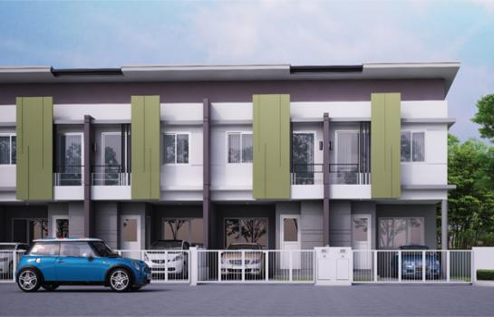 �ҧ�� �� HarrisonTH