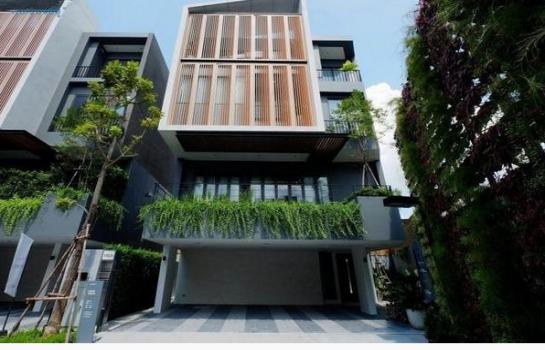 ��ҹ�Ѳ�� �� Nan