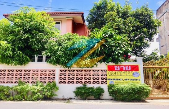 ��º�ҹ 4,950,000 �ҷ