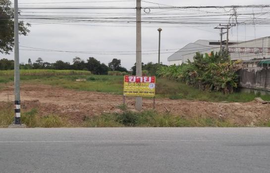 �͹�� �� zionasset1