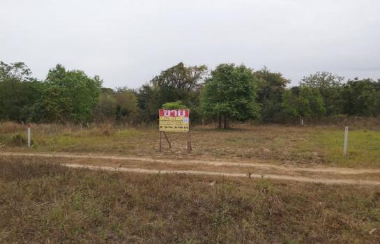 �͹�� �� zionasset1