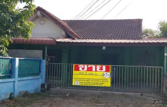 �͹�� �� zionasset1