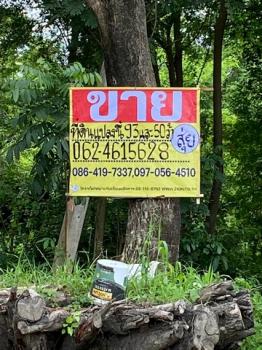 ��û�� �� zionasset1