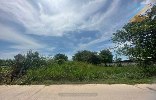 �ҧ���ا �� zionasset1