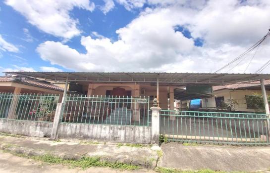 �ѹ���� �� Parkwan