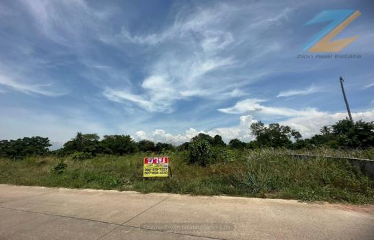 �ҧ���ا �� zionasset1