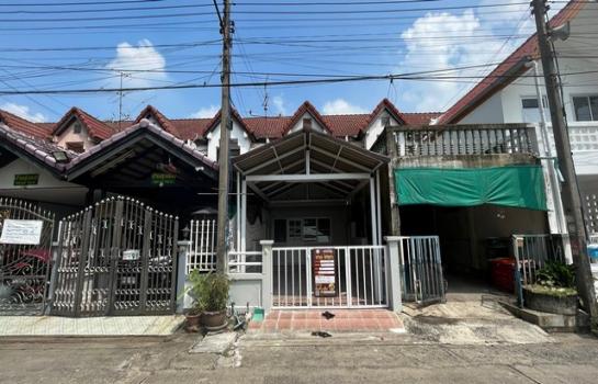 ������ �� panaya.opalopal