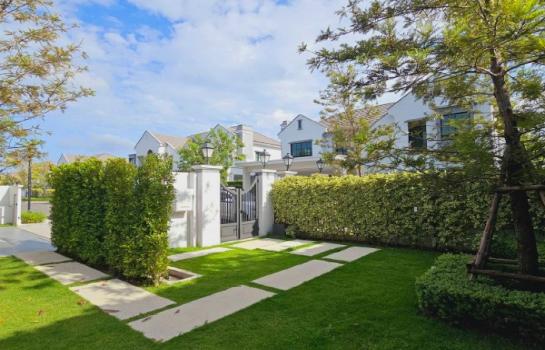 ��ҹ����Ǿ�������� 107 ���ҧ��