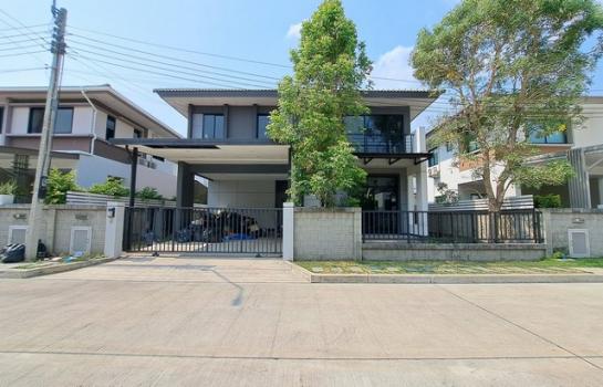 ������ �� panaya.opalopal