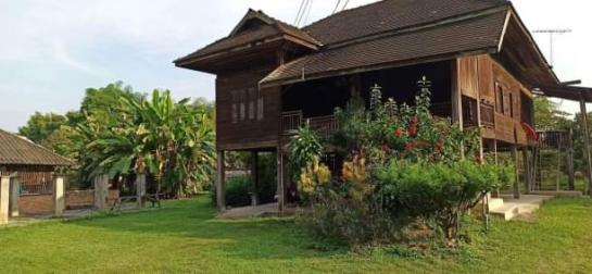 ����� �� onanong khumaphao